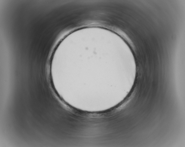 X0000113261424200910221030