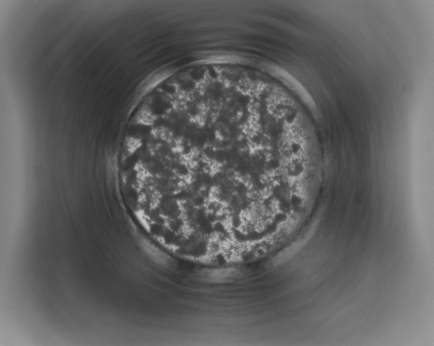 X0000113261425200910221030