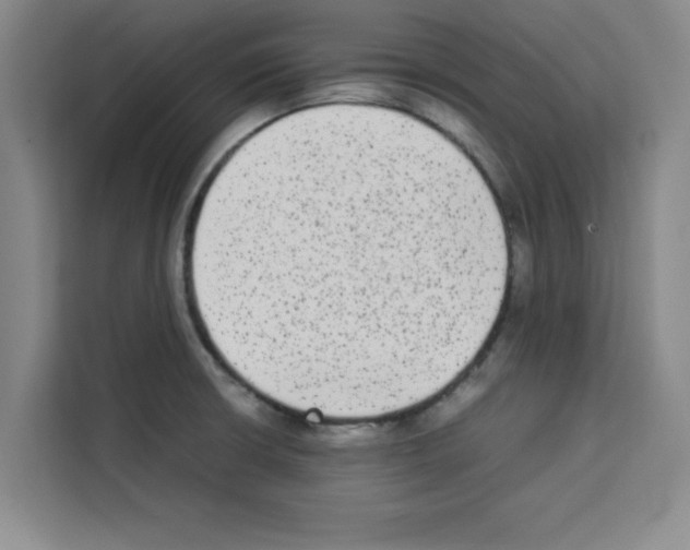X0000113261426200910221030