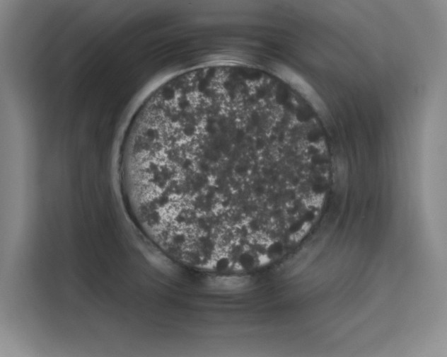 X0000113261427200910221030