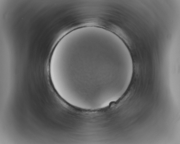 X0000113261428200910221030