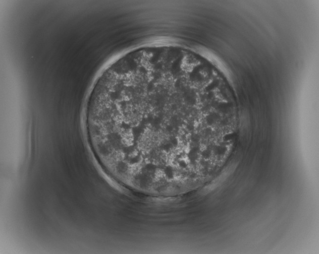 X0000113261429200910221030