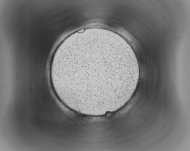 X0000113261430200910221030