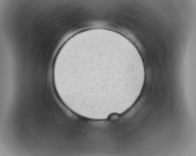 X0000113261432200910221030