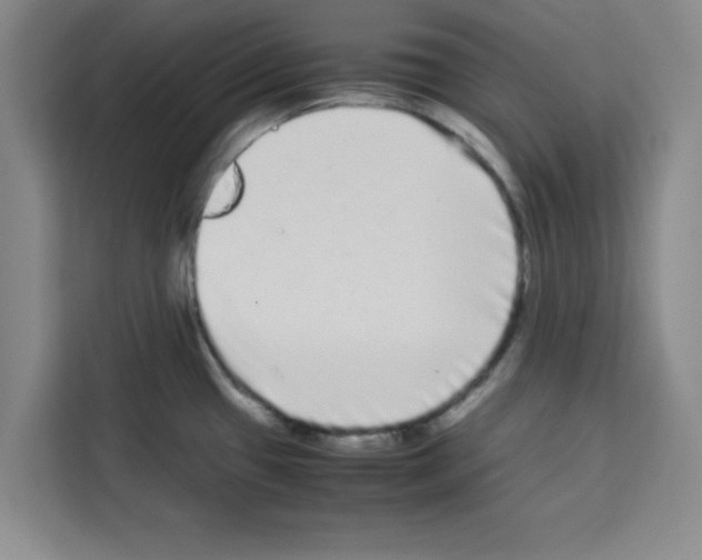 X0000113261433200910221030