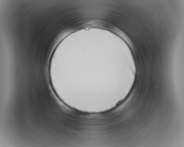 X0000113261434200910221030