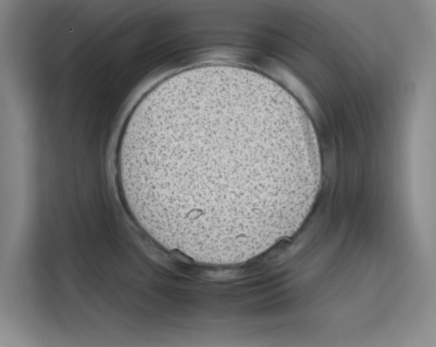 X0000113261435200910221030