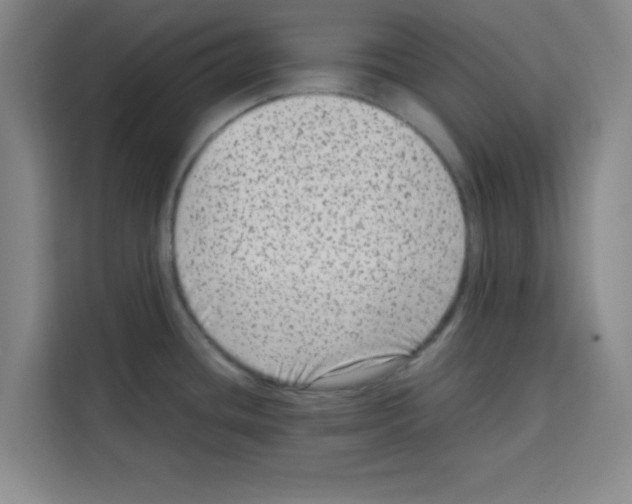 X0000113261436200910221030