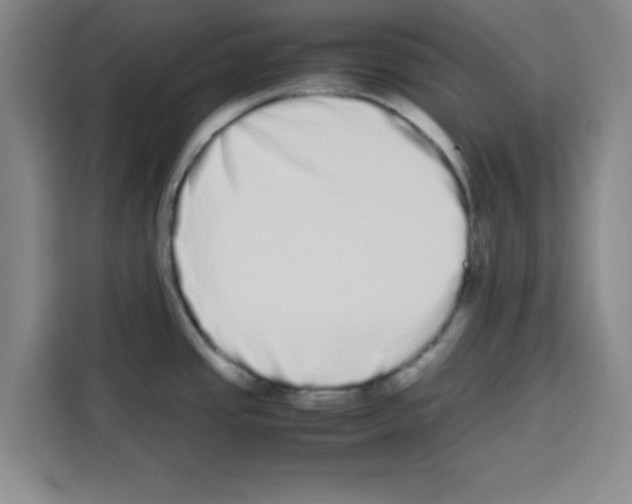 X0000113261437200910221030