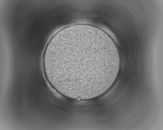 X0000113261439200910221030