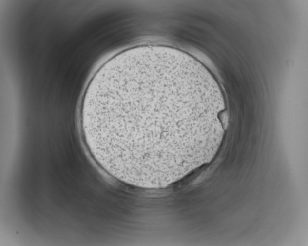 X0000113261440200910221030