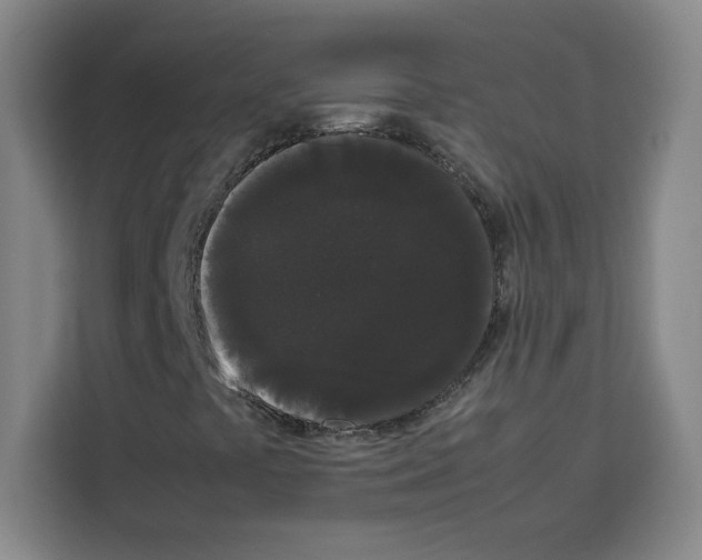 X0000113261441200910221029