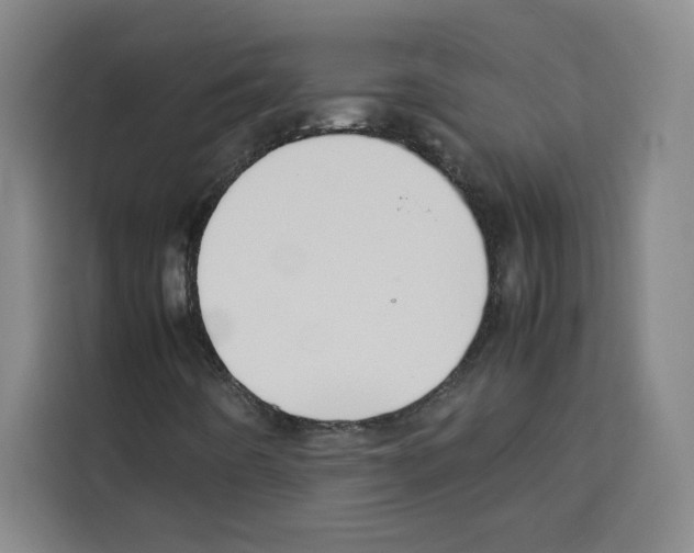 X0000113261442200910221029