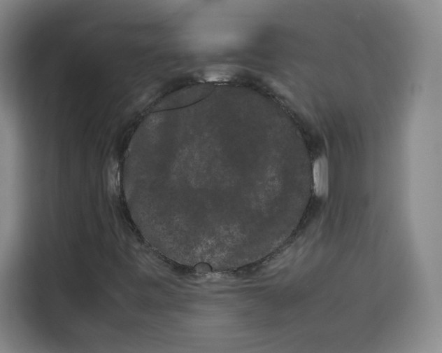 X0000113261443200910221029