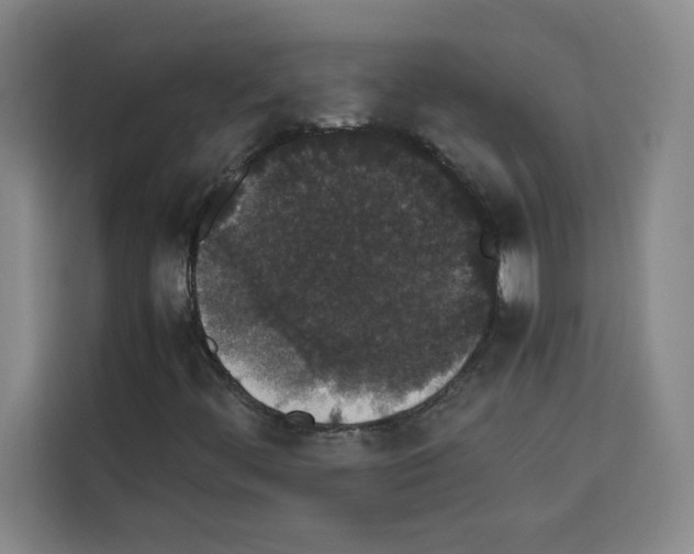 X0000113261444200910221029