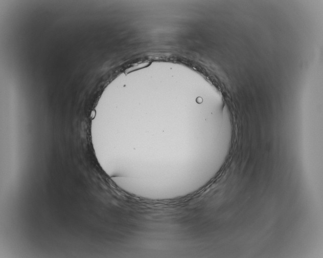 X0000113261445200910221029