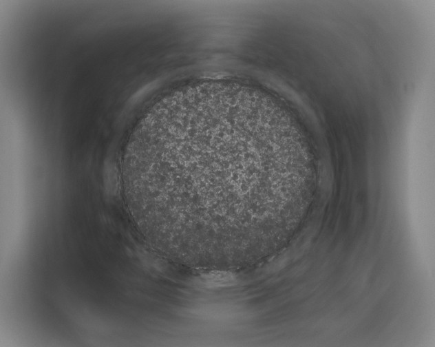 X0000113261446200910221029