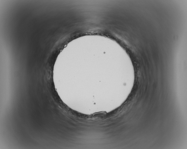 X0000113261447200910221029