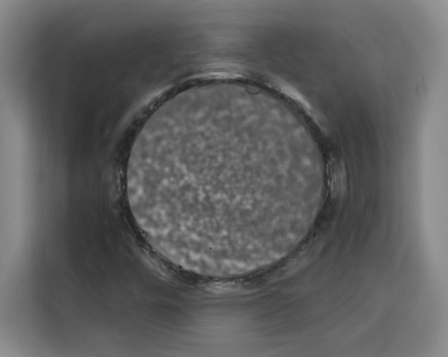 X0000113261448200910221029