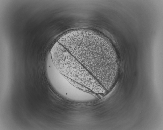 X0000113261449200910221029