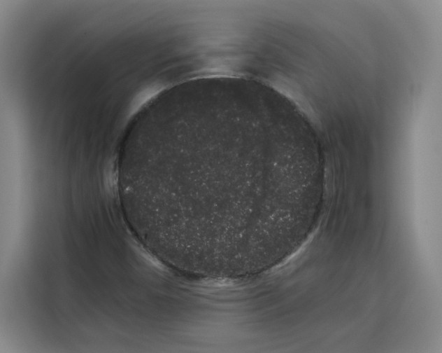 X0000113261450200910221029