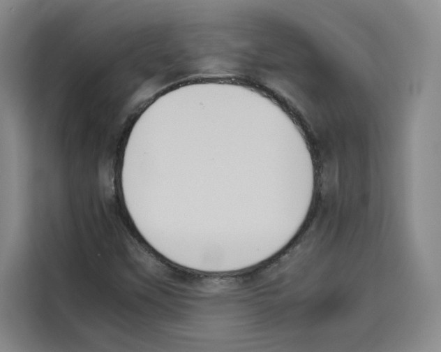 X0000113261451200910221029