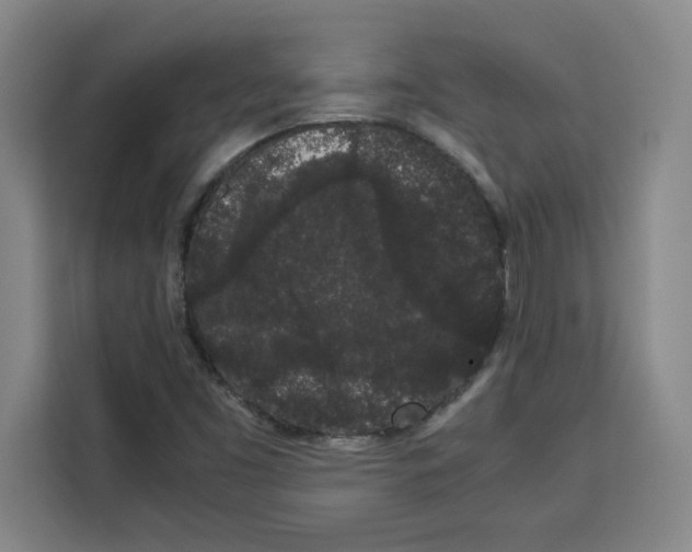 X0000113261453200910221029