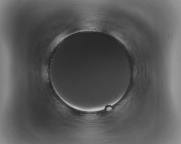 X0000113261455200910221029