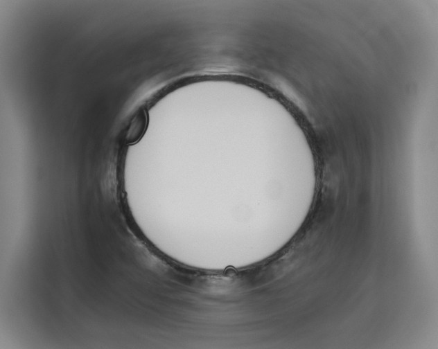 X0000113261456200910221029