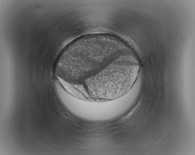 X0000113261457200910221029