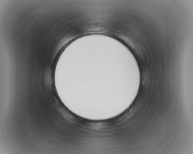 X0000113261458200910221029