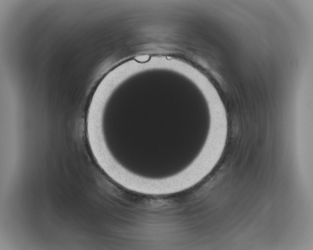X0000113261459200910221029