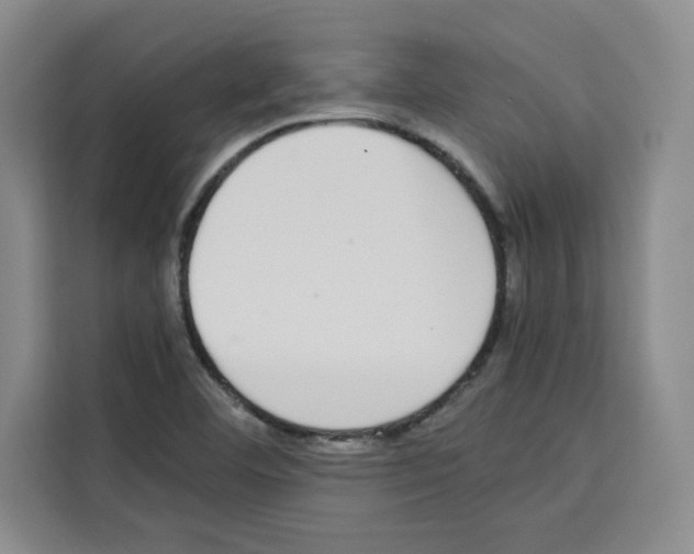 X0000113261460200910221029