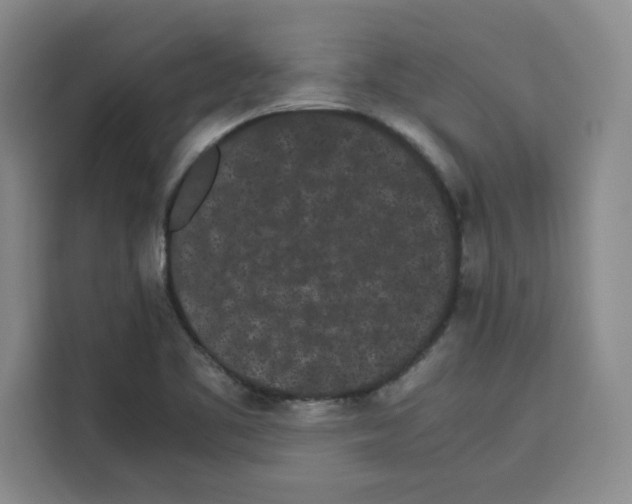 X0000113261461200910221029