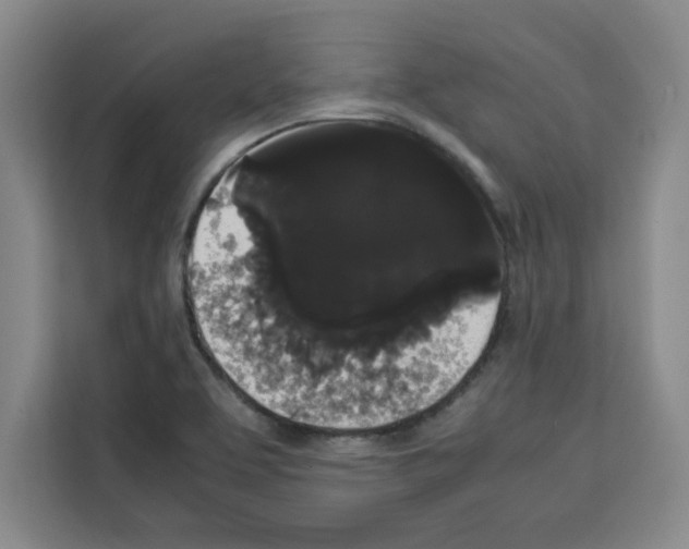 X0000113261463200910221029