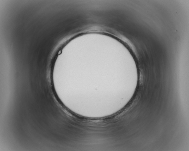 X0000113261464200910221029
