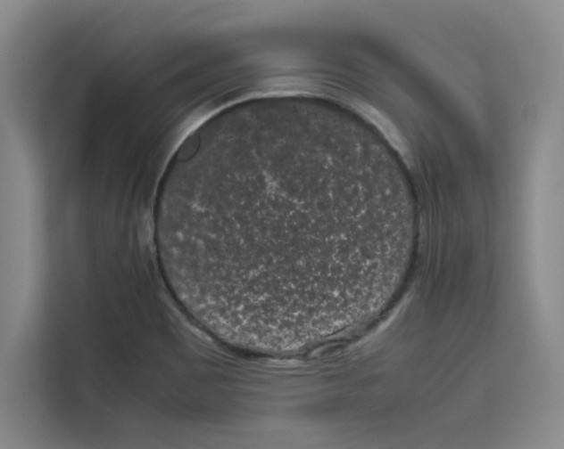 X0000113261465200910221029