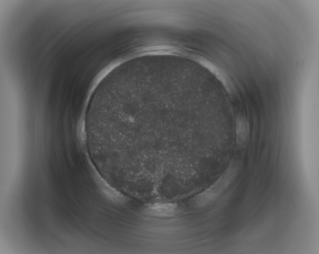 X0000113261466200910221029
