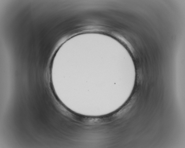 X0000113261467200910221029