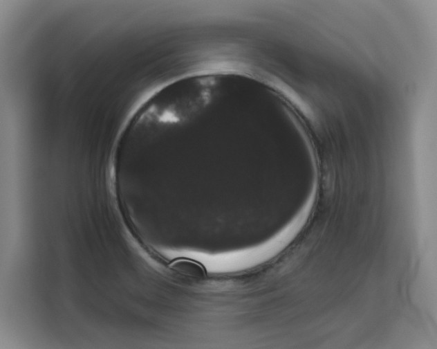 X0000113261468200910221029