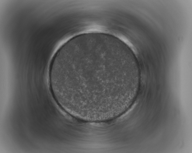 X0000113261469200910221029