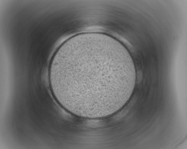 X0000113261470200910221029
