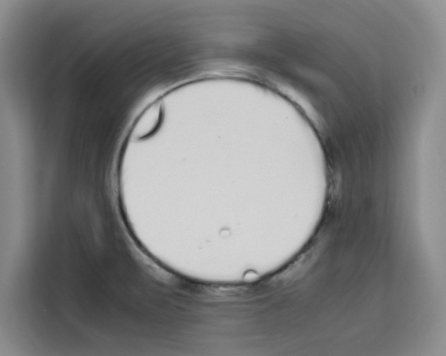 X0000113261471200910221029