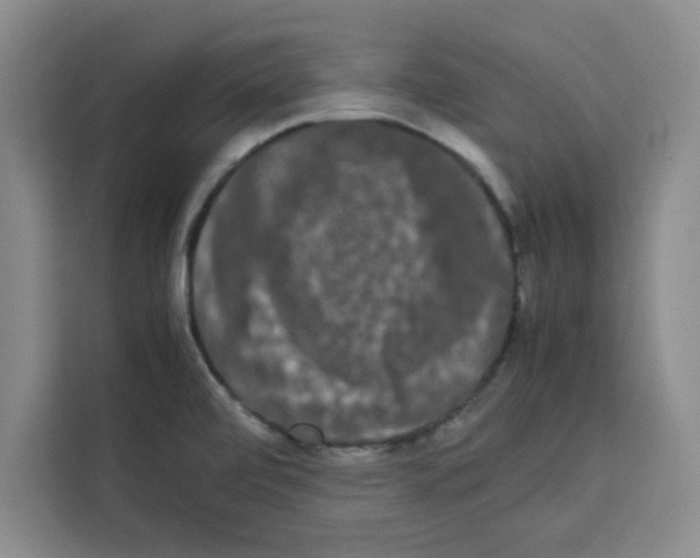 X0000113261472200910221029
