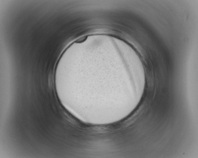 X0000113261473200910221029