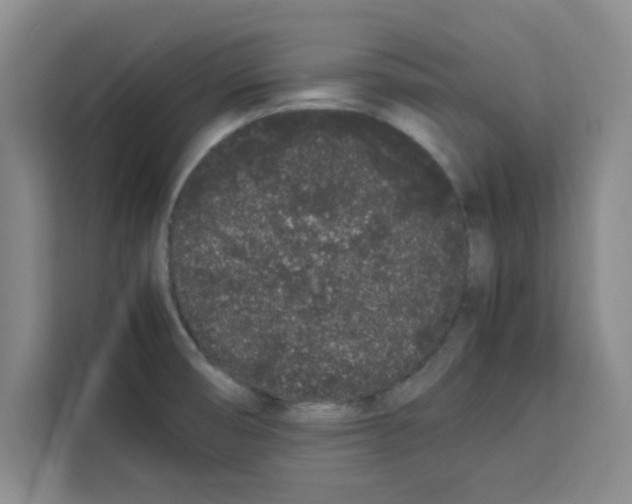 X0000113261474200910221029