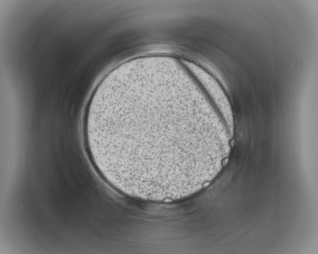 X0000113261475200910221029