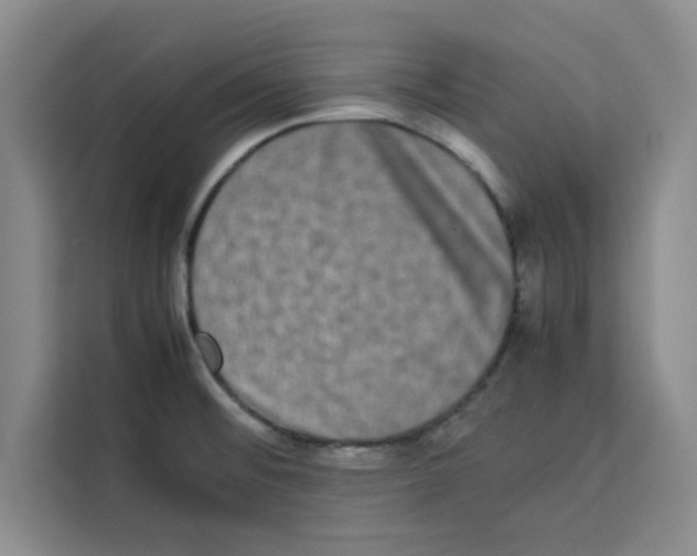 X0000113261476200910221029