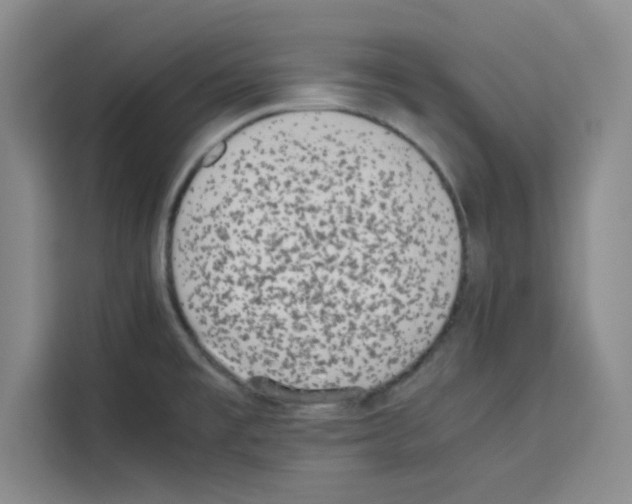 X0000113261477200910221029