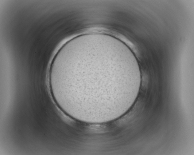 X0000113261478200910221029